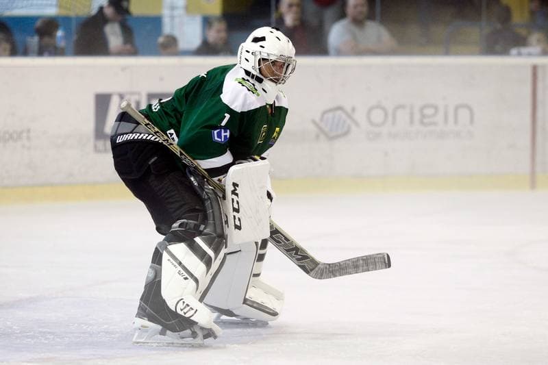Ice Hockey. Polska Hokej Liga. Polonia Bytom - Naprzod Janow. 10.09.2017