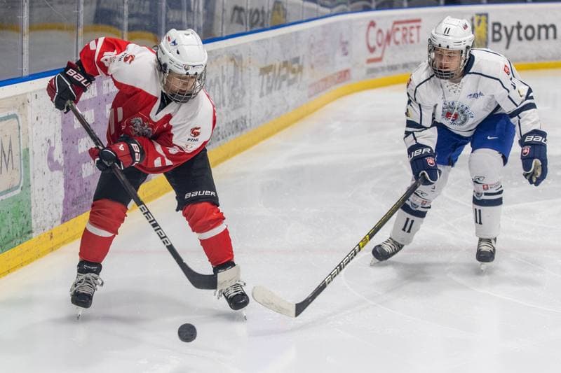 Ice Hockey. EWHL. Orlice Bytom - SKP Bratislava. 20.11.2022
