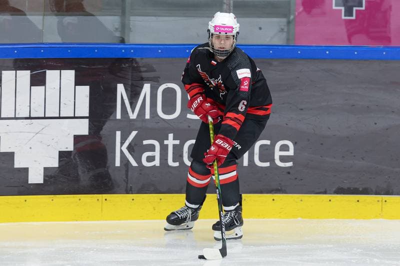 Ice Hockey. EWHL. Tauron Metropolia Silesia - EC Graz Huskies. 02.03.2024