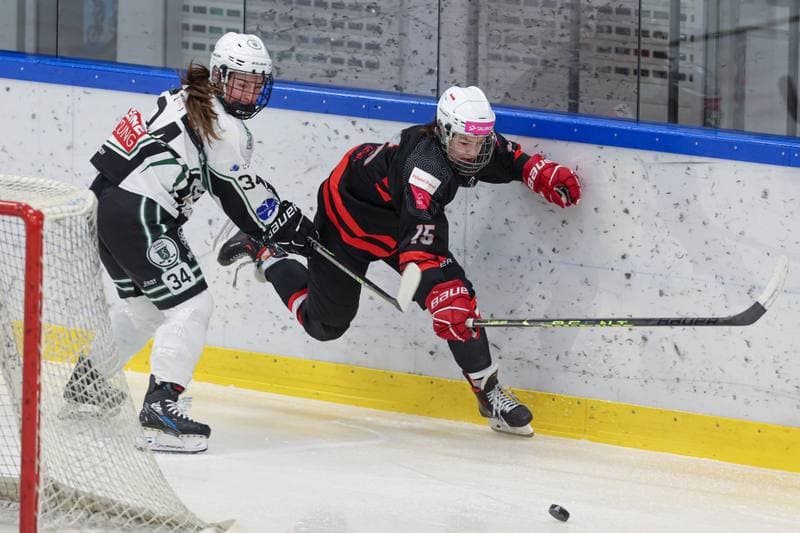 Ice Hockey. EWHL. Tauron Metropolia Silesia - EC Graz Huskies. 02.03.2024
