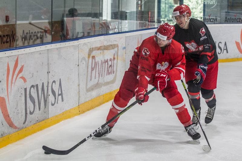 Ice Hockey. Poland national team. Training. 11.05.2021