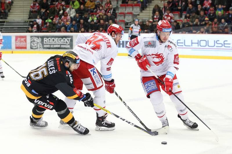 Ice Hockey. Tipsport Extraliga. Ocelari Trinec - HC Verva Litvinov. 06.01.2019