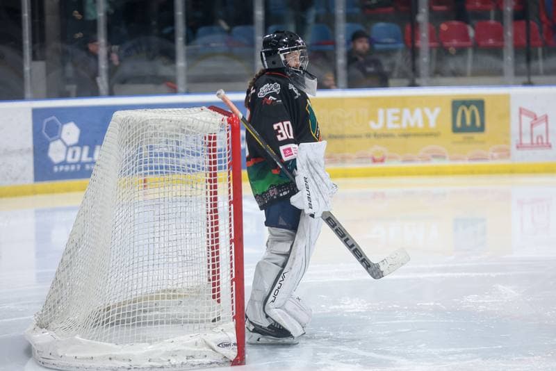 Ice Hockey. Tauron Liga Hokeja Kobiet. BS Polonia Bytom - Kojotki Naprzod Janow. 16.03.2024