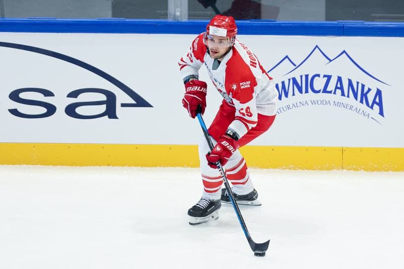 Ice Hockey. Friendly Match. Poland - Hungary. 12.04.2024