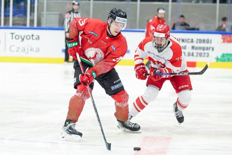 Ice Hockey. Friendly Match. Poland - Hungary. 12.04.2024