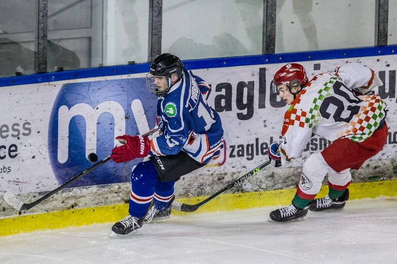 Ice Hockey. MHL. UKH Zaglebie Sosnowiec - Sokoly Torun. 08.01.2022