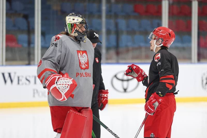 Ice Hockey. Poland national team. Training. 16.04.2024