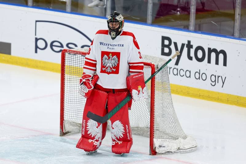 Ice Hockey. Friendly Match. Poland - Slovenia. 19.04.2024