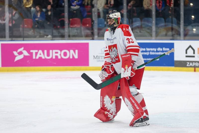 Ice Hockey. Friendly Match. Poland - Slovenia. 19.04.2024