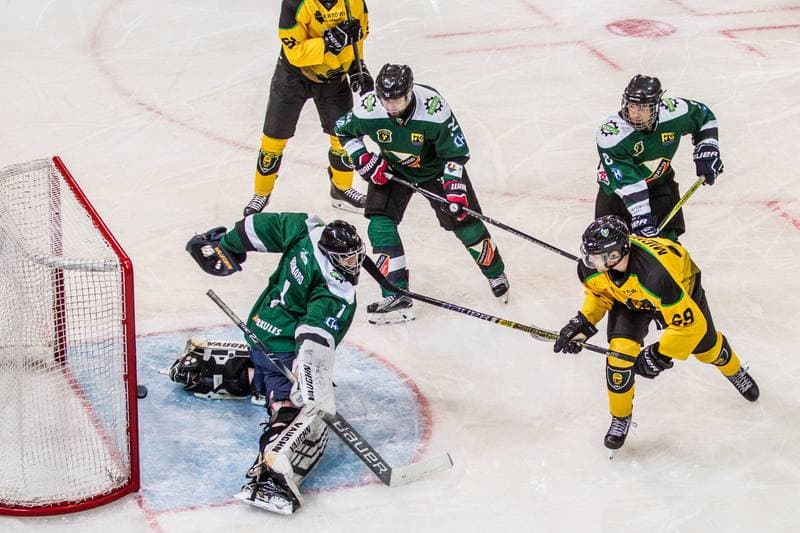 Ice Hockey. Polska Hokej Liga. GKS Katowice - Naprzod Janow. 15.09.2019