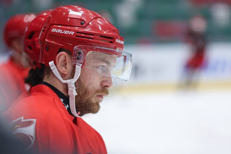Ice Hockey. Poland national team. Training. 06.05.2024