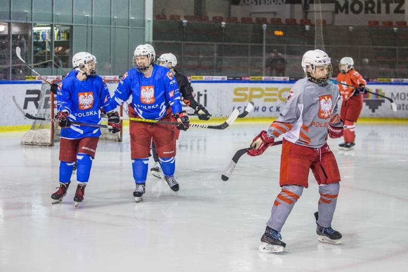 Ice Hockey. Poland national team. Training. 31.03.2022