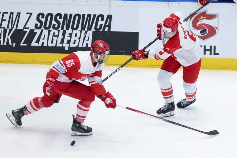 Ice Hockey. Friendly Match. Poland - Denmark. 07.05.2024