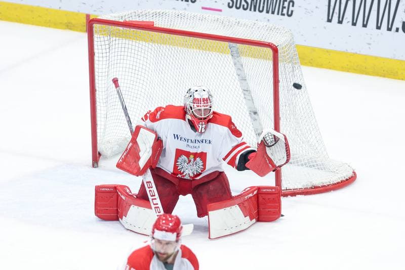 Ice Hockey. Friendly Match. Poland - Denmark. 07.05.2024