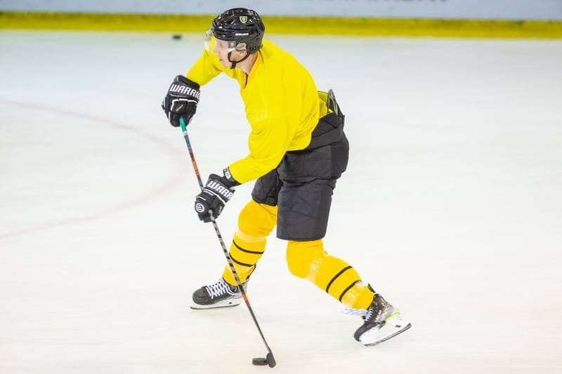 Ice Hockey. GKS Katowice. Training. 01.08.2022