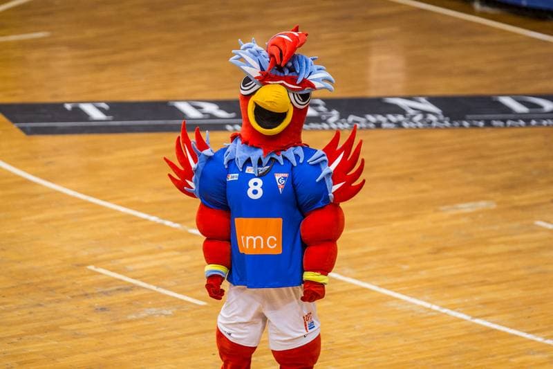 Handball. PGNiG Superliga. NMC Gornik Zabrze - Stal Mielec. 20.11.2019