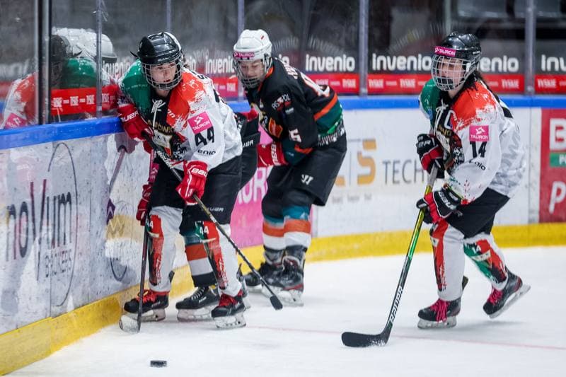 Ice Hockey. Tauron Liga. Atomowki GKS Tychy - Kojotki Naprzod Janow. 29.10.2023