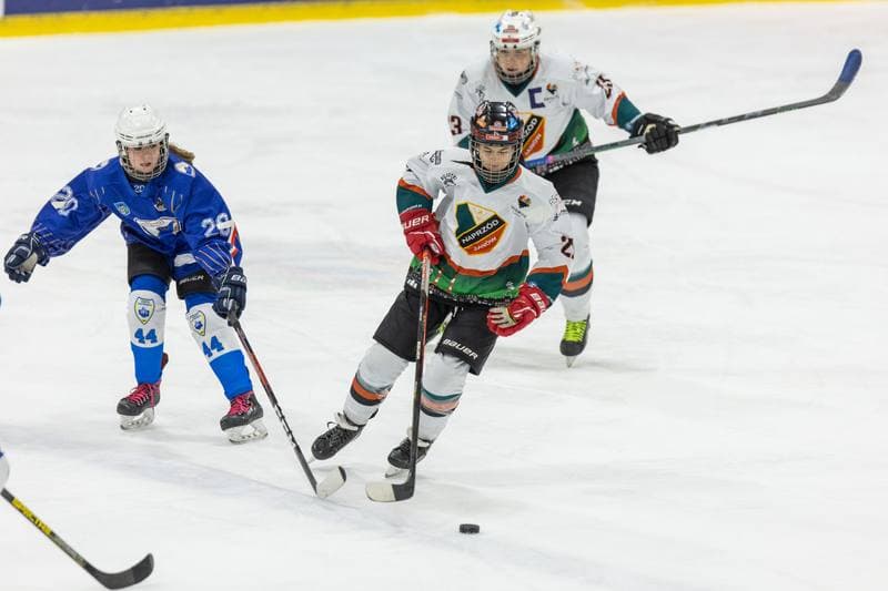 Ice Hockey. PLHK. Kojotki Naprzod Janow - UKHK Unia Oswiecim. 26.11.2022