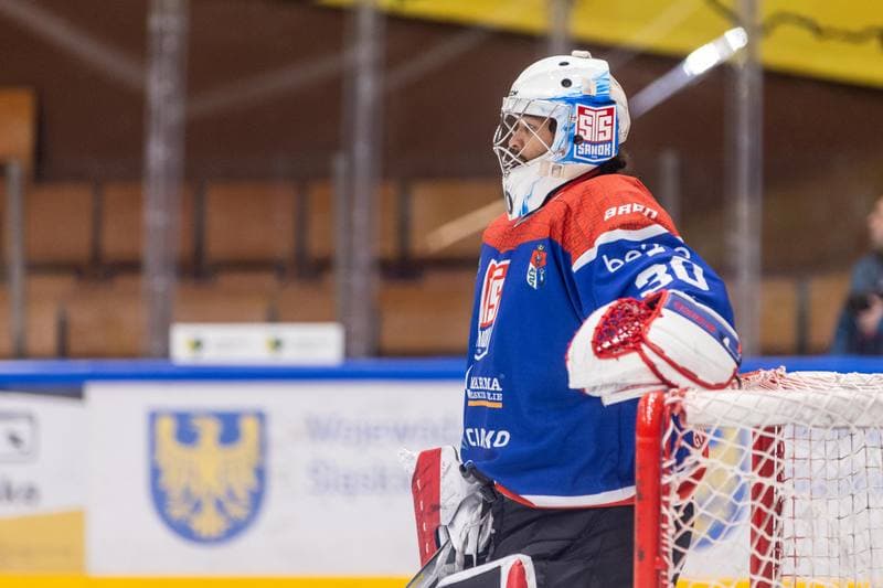 Ice Hockey. Polska Hokej Liga. GKS Katowice - Marma Ciarko STS Sanok. 27.11.2022