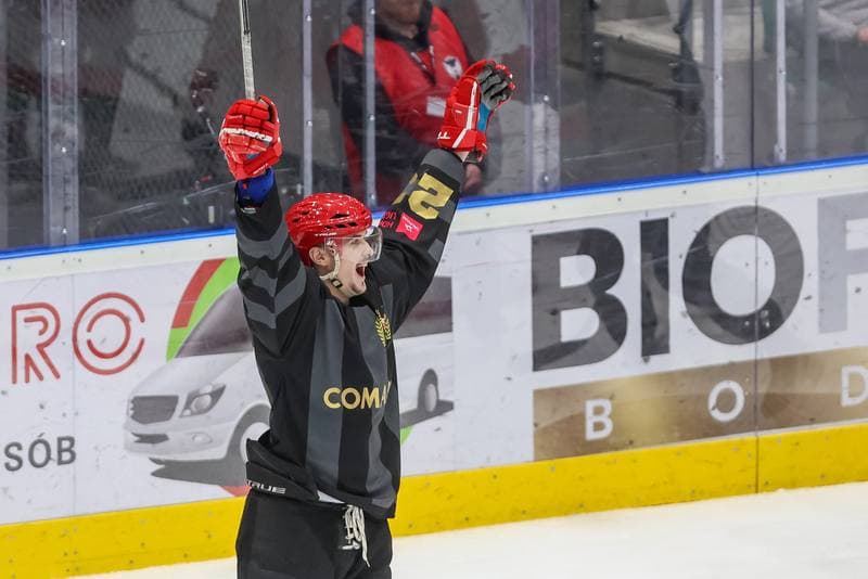 Ice Hockey. Tauron Hokej Liga. Zaglebie Sosnowiec - Comarch Cracovia. 19.11.2023