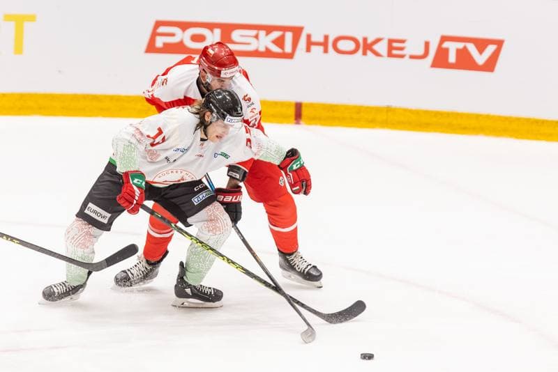 Ice Hockey. Friendly Match. Poland - Hungary. 20.04.2023