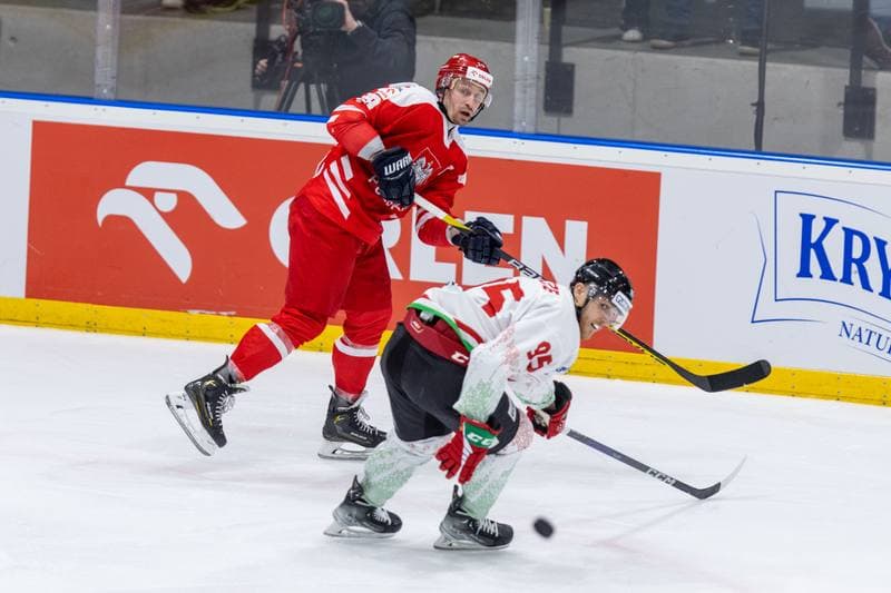 Ice Hockey. Friendly Match. Poland - Hungary. 21.04.2023