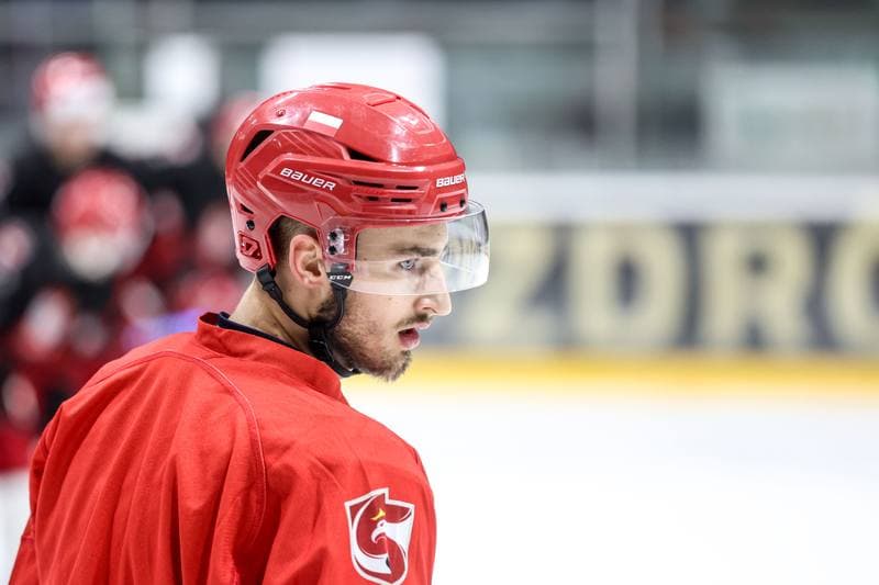 Ice Hockey. Poland national team. Training. 03.11.2024