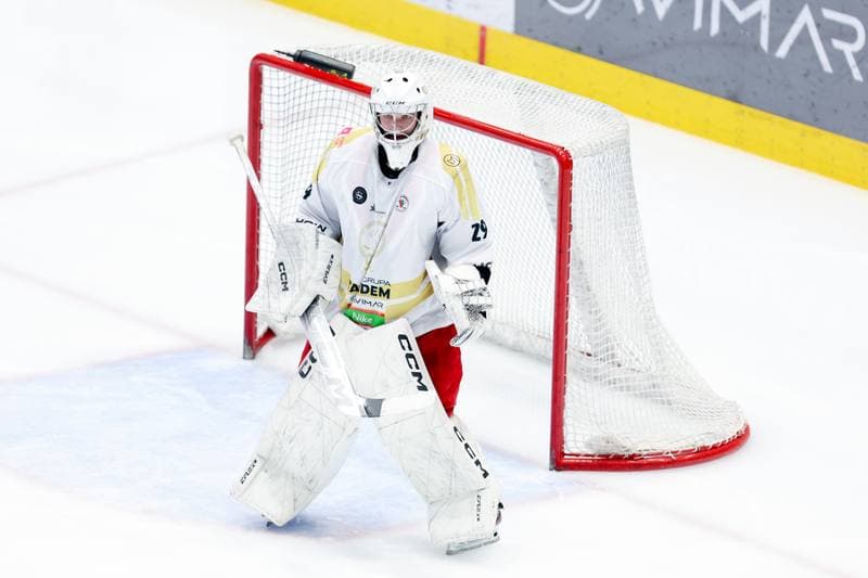 Ice Hockey. Tauron Hokej Liga. Zaglebie Sosnowiec - JKH GKS Jastrzebie. 05.01.2024