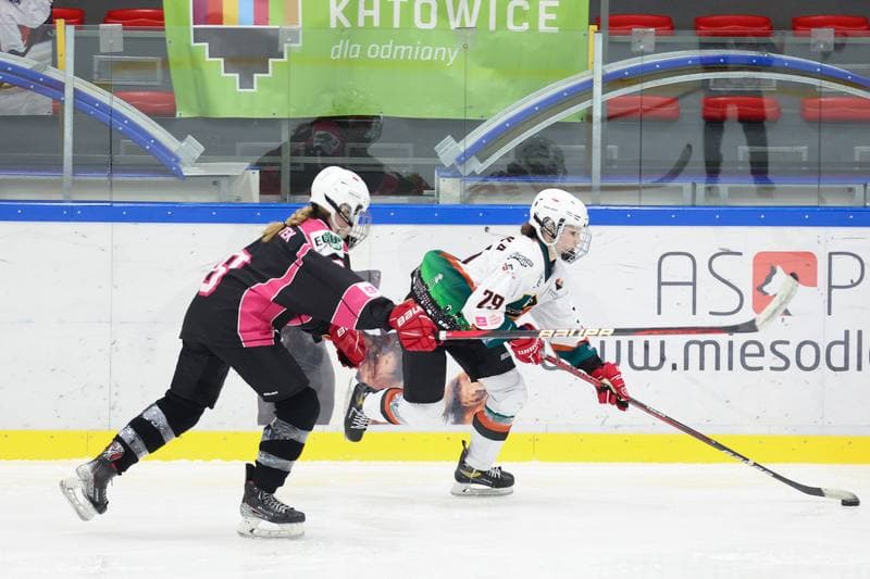 Ice Hockey. Tauron Liga Kobiet. Kojotki Naprzod Janow - Kozice Poznan. 20.01.2024