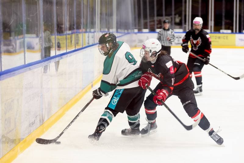 Ice Hockey. EWHL. Tauron Metropolia Silesia - KEHV Lakers. 03.02.2024