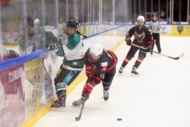 Ice Hockey. EWHL. Tauron Metropolia Silesia - KEHV Lakers. 03.02.2024
