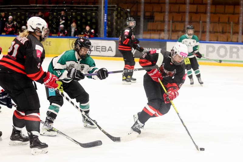 Ice Hockey. EWHL. Tauron Metropolia Silesia - KEHV Lakers. 04.02.2024
