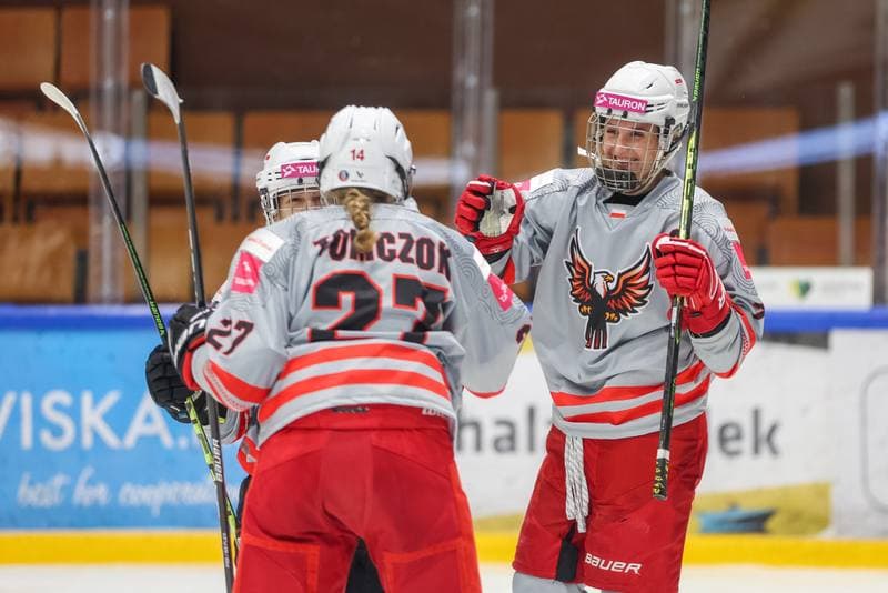 Ice Hockey. EWHL. TAURON Metropolia Silesia - KSV Neuberg Highlanders. 30.09.2023