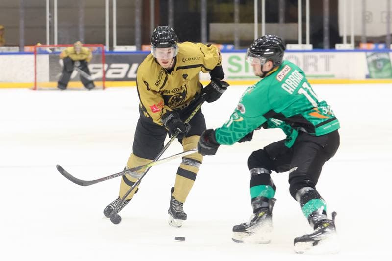Ice Hockey. Tauron Hokej Liga. GKS Katowice - JKH GKS Jastrzebie. 14.02.2024