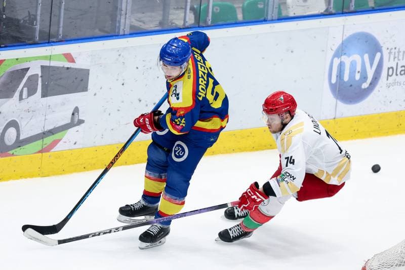 Ice Hockey. Tauron Hokej Liga. Zaglebie Sosnowiec - PZU Podhale Nowy Targ. 14.02.2024