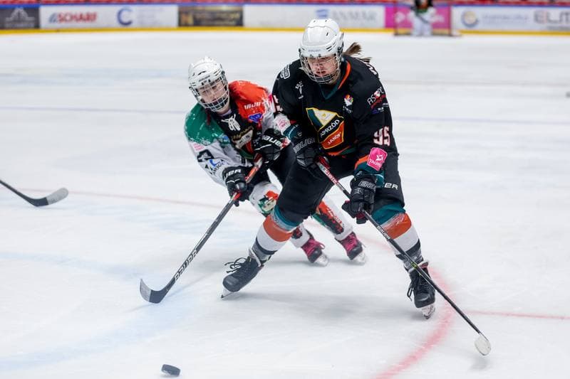 Ice Hockey. Tauron Liga. Atomowki GKS Tychy - Kojotki Naprzod Janow. 29.10.2023