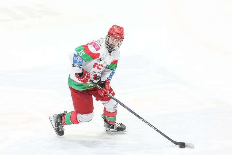 Ice Hockey. Tauron Hokej Liga. EC Bedzin Zaglebie Sosnowiec - KH Energa Torun. 19.01.2025