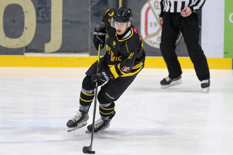 Ice Hockey. Tauron Hokej Liga. JKH GKS Jastrzebie - GKS Katowice. 21.03.2024