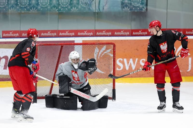 Ice Hockey. Poland national team. Training. 02.04.2024