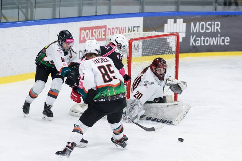 Ice Hockey. Tauron Liga Kobiet. Kojotki Naprzod Janow - Kozice Poznan. 20.01.2024
