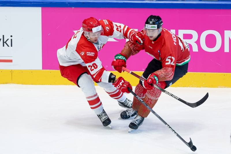 Ice Hockey. Friendly Match. Poland - Hungary. 13.04.2024