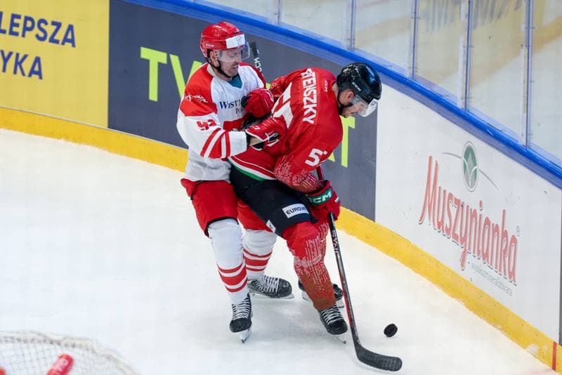 Ice Hockey. Friendly Match. Poland - Hungary. 13.04.2024