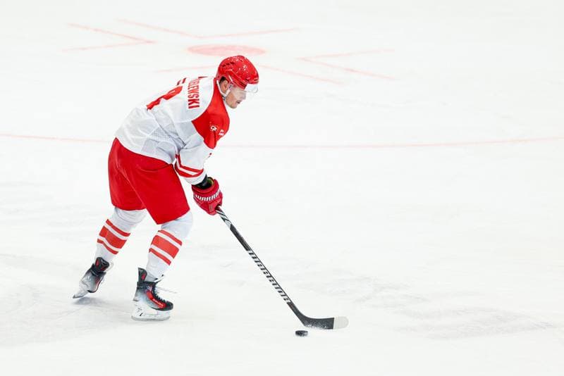 Ice Hockey. Friendly Match. Poland - Hungary. 13.04.2024