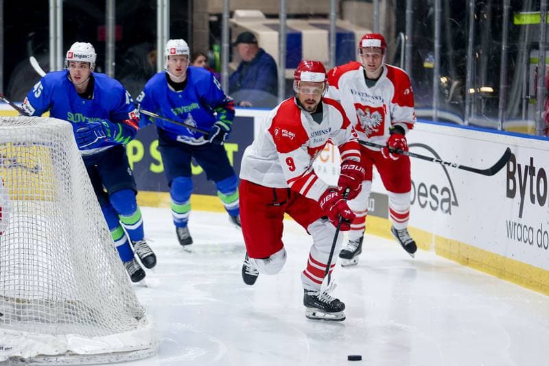 Ice Hockey. Friendly Match. Poland - Slovenia. 18.04.2024