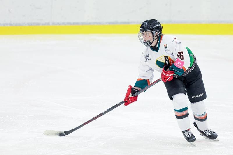 Ice Hockey. Tauron Liga. Kojotki Naprzod Janow - Stoczniowiec Gdansk. 24.02.2024