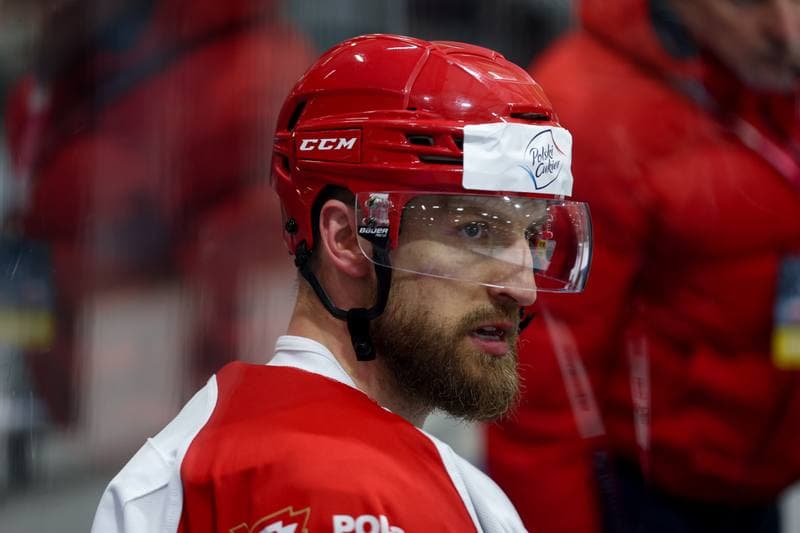 Ice Hockey. Friendly Match. Poland - Slovenia. 19.04.2024