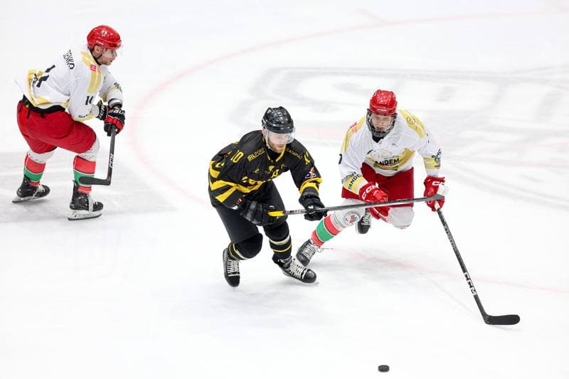 Ice Hockey. Tauron Hokej Liga. Zaglebie Sosnowiec - GKS Katowice. 06.03.2024