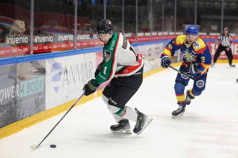 Ice Hockey. Tauron Hokej Liga. GKS Tychy - PZU Podhale Nowy Targ. 09.03.2024