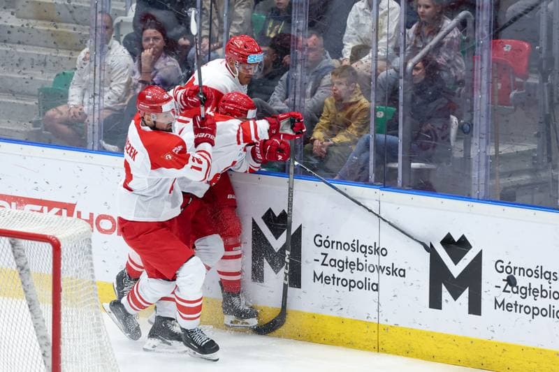 Ice Hockey. Friendly Match. Poland - Denmark. 07.05.2024
