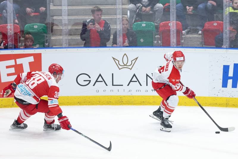 Ice Hockey. Friendly Match. Poland - Denmark. 07.05.2024